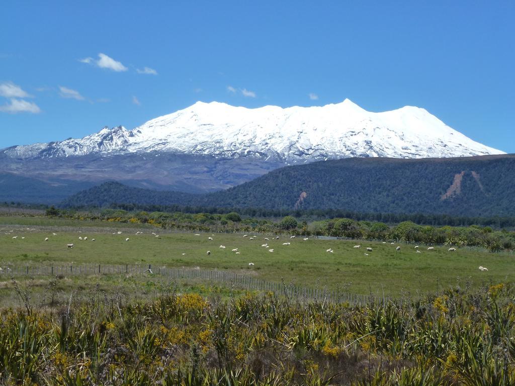 Manowhenua Lodge National Park Dış mekan fotoğraf